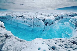 2022全球高温还能去北极旅游吗的简单介绍