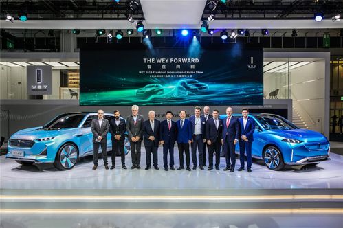 2022年德国车企加码中国市场（德国汽车品牌进入中国市场）  第2张