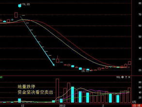 上海买股票去哪里开户都一样吗（上海买股票怎么开户）  第3张