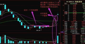 自贸区概念股票、上海自贸区受益股有哪些（上海自贸区概念股龙头）  第2张