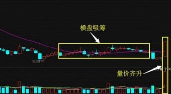 京沪高铁股票为什么可以无限涨停（京沪高铁股价现在不涨原因怎么了）  第2张